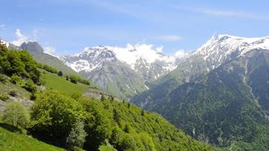 DSC06763