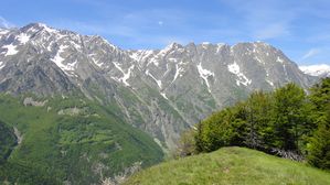 DSC06768