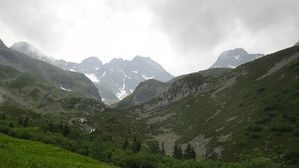 DSC07313
