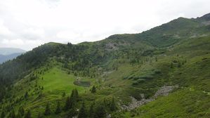 DSC07317
