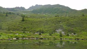 DSC07318