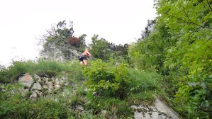 DSC02906