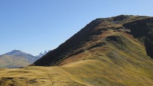 DSC03354.JPG