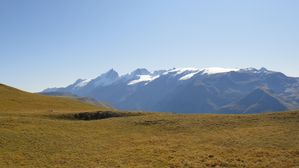 DSC03356.JPG