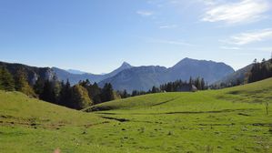 DSC03430.JPG