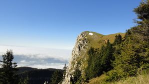 DSC03441.JPG