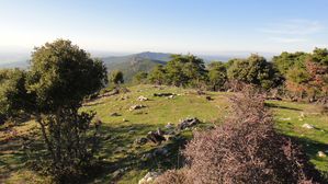 DSC03651.JPG