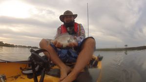 bream-copie-1.jpg