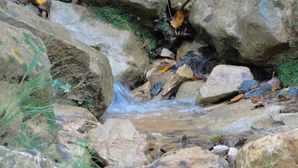 Colorado 16 cascade