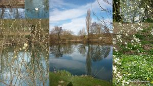 Au fil de la Charente2