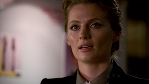 castle-stana-katic.png