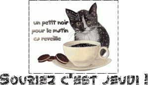 jeudi_chat_Cerisette.gif