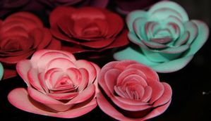 flowers-rose-stampin-up-big-shot.jpg