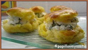 PETITS-CHOUX-AU-FROMAGE-DE-CHEVRE-ET-HERBES--TYPE-PROFITERO.jpg