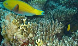 DSC00208a