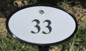 Bagatelle-5604.JPG