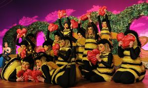 vccprunksitzung14 13 Weiße Garde Bienenschautanz 01