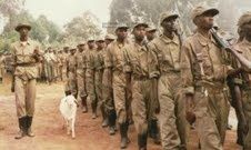 031 inkotanyi