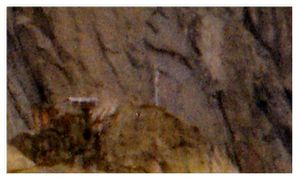 mont blanc 33 bis