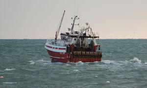 barfleur-040110-020-copie-1.jpg