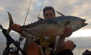 bonite10kg-24_08.JPG