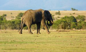 Kenia-Tanzania.Sito1 048 Vista Web grande