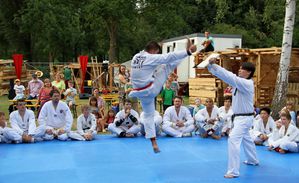 30jasp 01 Taekwondo 11