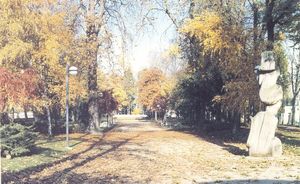 photo parc