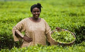 African_Farmer_Woman.jpg