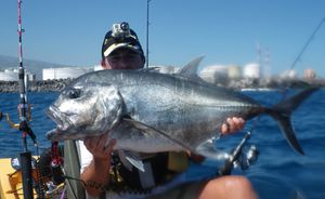 carangue-12kg-up-20_09-leurre-souple.jpg