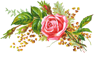 gif rose 5