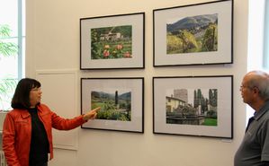 FeserFotosGreve-01.jpg