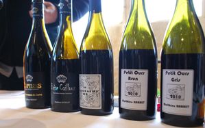Vins-2011-0135.JPG