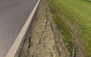 rfactor2_poznan_textures_13.jpg