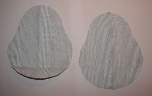 Copie de DSC06891