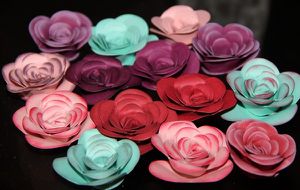 flowers stampin up