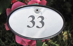 Bagatelle-5719.JPG