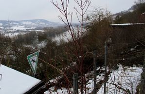 Wildschweine Gaerten Birkental Hecken Naturschutzgebiet