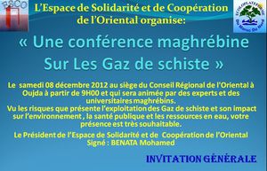 conference-maghrebine-sur-les-gaz-de-schiste.jpg