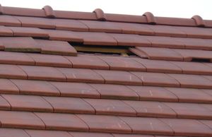 2010-02-28---tempete-Levet.jpg