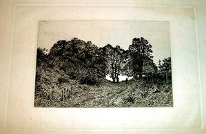 18685.jpg