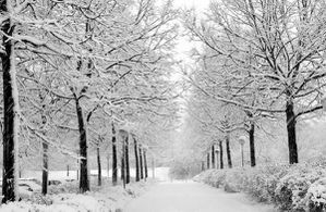 Winter_by_marquis73.jpg