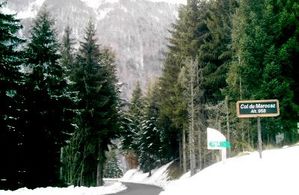50401141-1--copie-1.JPG