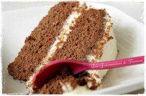 Gateau choco creme surprise