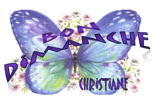 Bon-dim-PNG