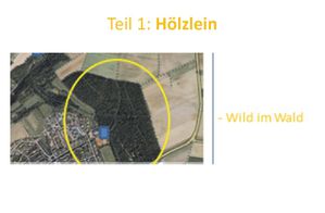 Bild11