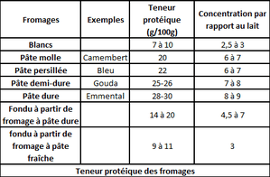Teneur-porteique-des-fromages-copie-1.PNG