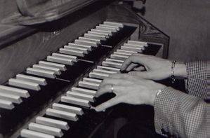 o03.jpg
