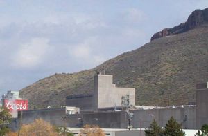 zcoors