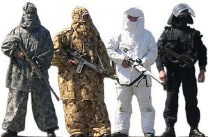 camgign.jpg